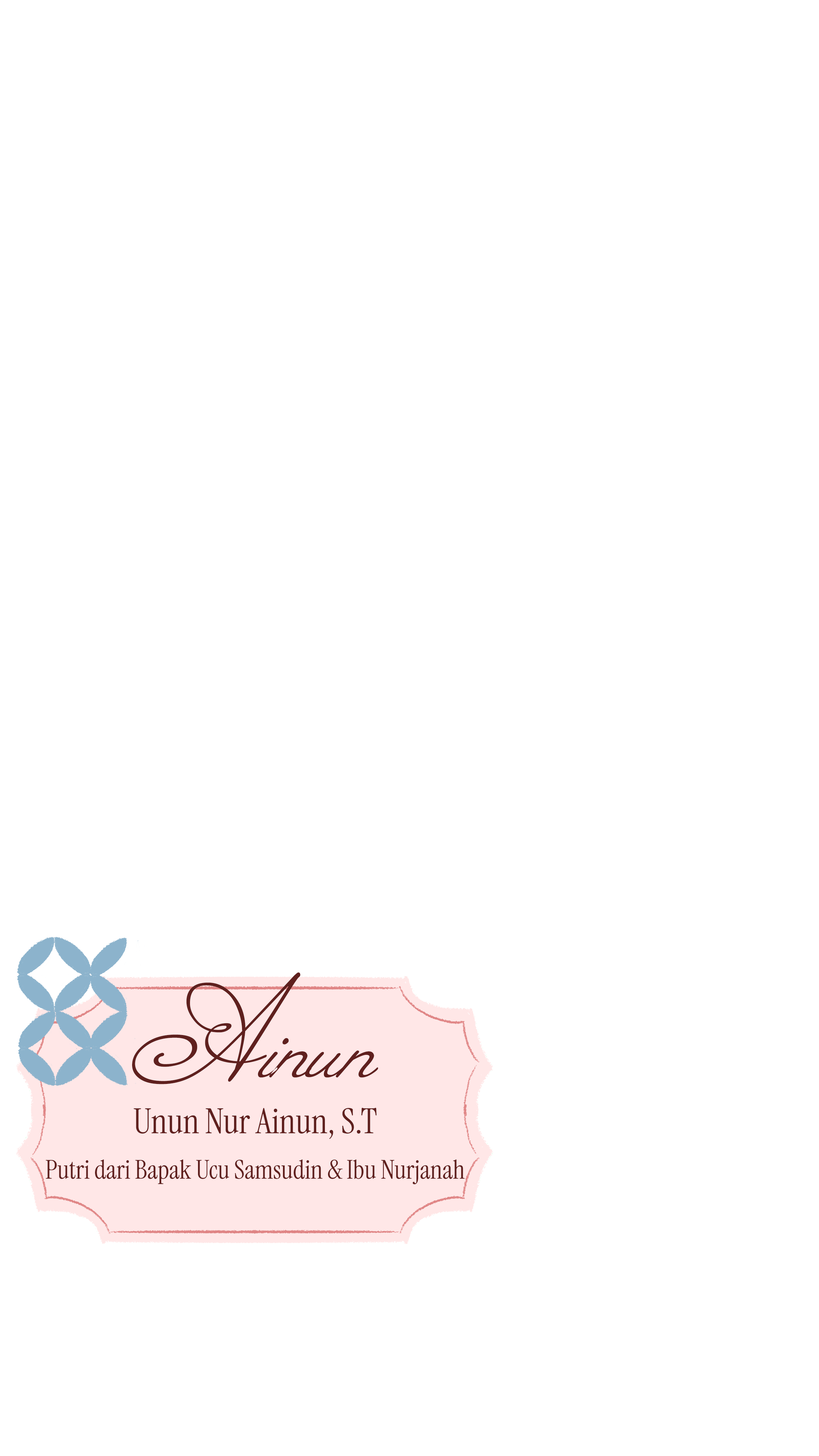 Profil Ainun